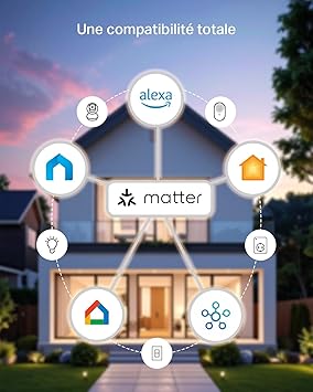 Tapo P110M Matter (Pack de 2) – Prises Connectées WiFi avec Suivi Énergie